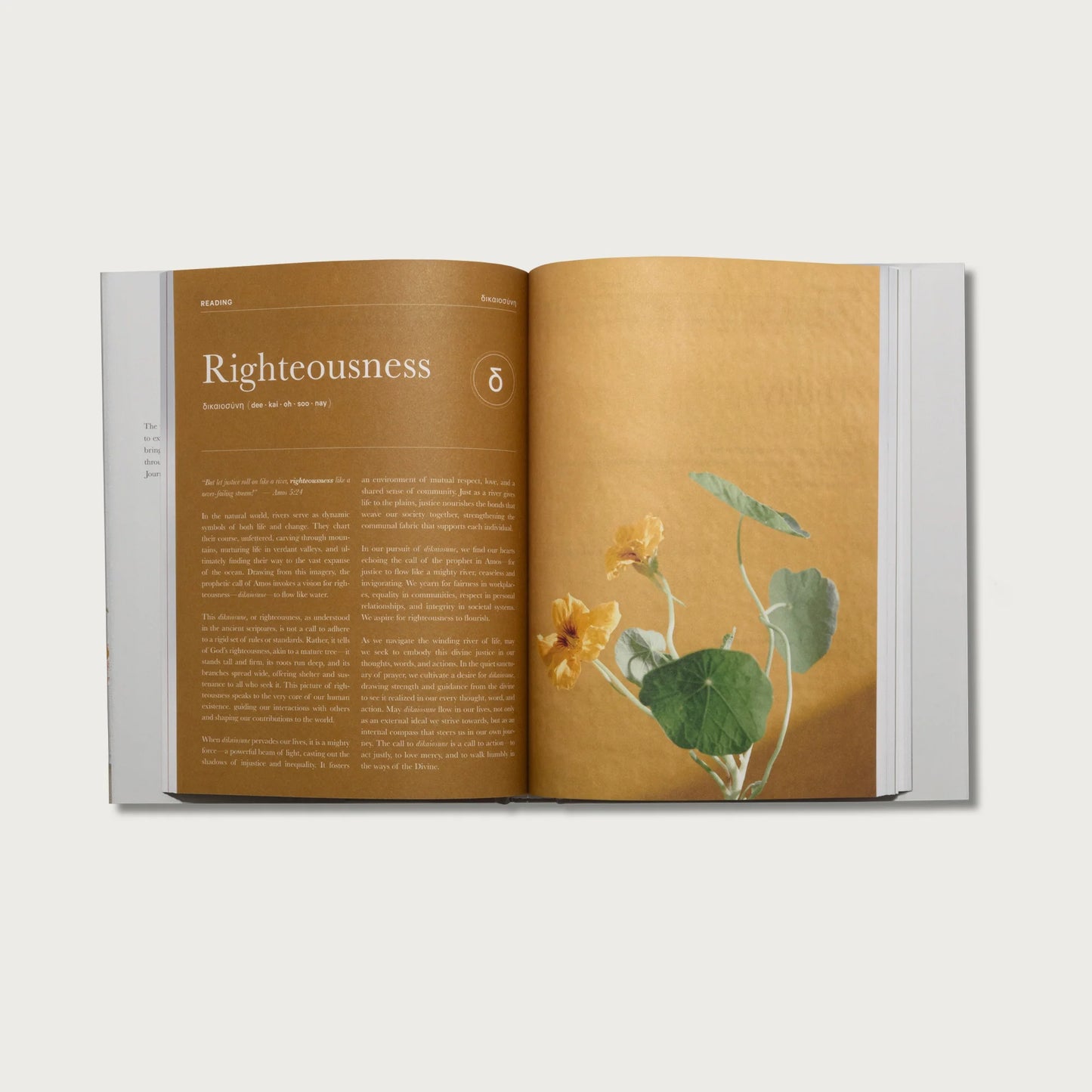 Prayer Journal