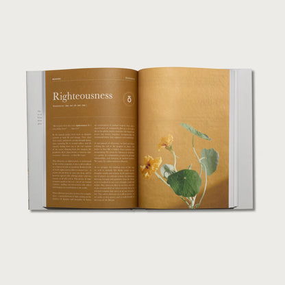 Prayer Journal